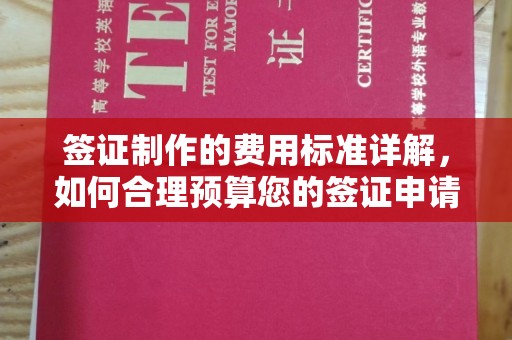 左云签证制作的费用标准详解，如何合理预算您的签证申请成本